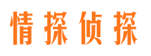 达孜市调查公司